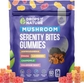 Mushroom Serenity Bites